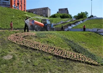 Фото: В Кемерове высадили цветочную композицию в форме сердца из 800 цветов 1