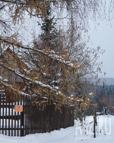 Федосей Весняк: народные приметы на 24 января