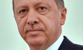 Эрдоган обвинил «антиисламскую» Европу в фашизме и жестокости
