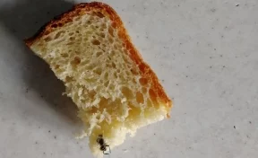Жительница Кузбасса нашла в хлебе насекомое