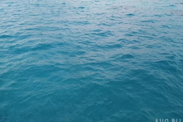 Дрейфовавший два месяца в Охотском море Пичугин частично признал вину в гибели брата и племянника