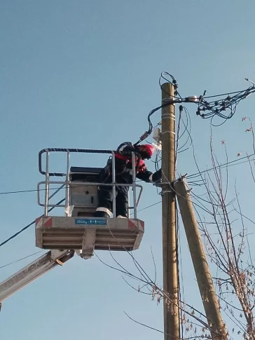 Фото: Опутаны сетью: энергетики «Россети Сибирь» проводят рейды в Кузбассе по выявлению незаконных линий связи 3