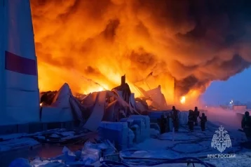 Фото: Эксперты оценили предполагаемый ущерб от пожара на складе Wildberries в Санкт-Петербурге 1