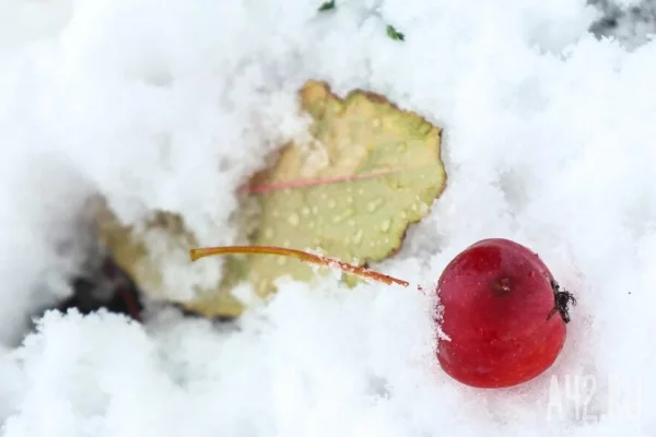 В российском городе пьяная мать выгнала босого 11-летнего ребёнка на мороз