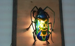 Какая «Жесть»: в исторической локации Кемерова открыли выставку скульптур Алексея Шкляра