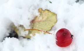 В российском городе пьяная мать выгнала босого 11-летнего ребёнка на мороз