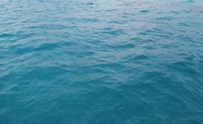 Дрейфовавший два месяца в Охотском море Пичугин частично признал вину в гибели брата и племянника