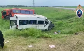 В Красноярском крае в ДТП с рейсовым автобусом и большегрузом пострадали 7 детей