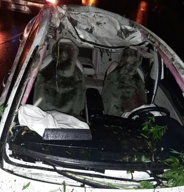 Фото: Автомобилист погиб в результате наезда на лося на кузбасской трассе 1