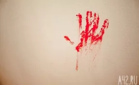 Кемеровчанку задержали по подозрению в убийстве мужа: он погиб 8 сентября