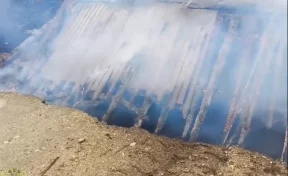 В Приамурье посёлок остался без дорожного сообщения из-за сгоревшего во время лесного пожара моста