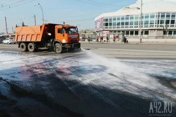Фото: В Кемерове дороги начали чистить от пыли розовой водой 1