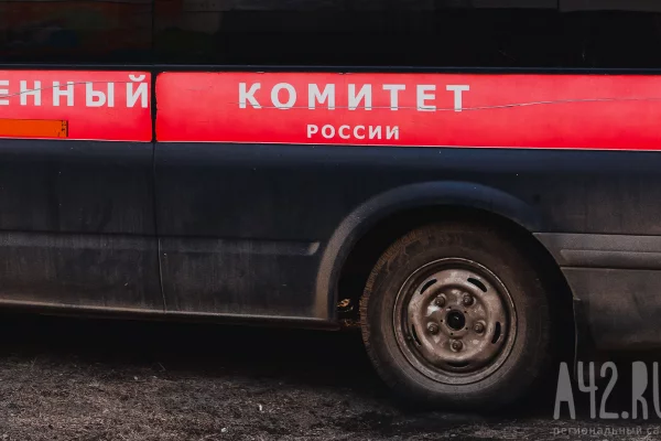 В Тюмени 7-летняя девочка провела несколько дней в квартире с умершей матерью