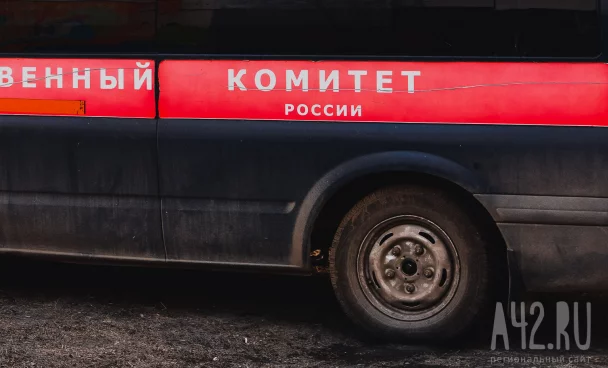 В Тюмени 7-летняя девочка провела несколько дней в квартире с умершей матерью