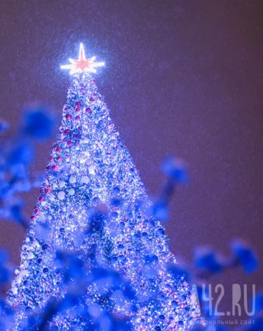 В Кузбассе все главные новогодние ёлки зажгутся одновременно 1 декабря