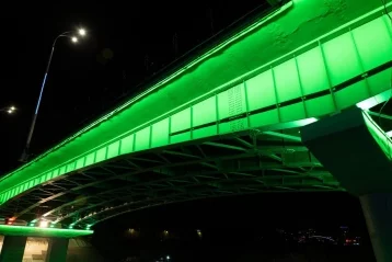 Фото: Мэр Кемерова показал, как выглядит Университетский мост со включённой разноцветной подсветкой  5