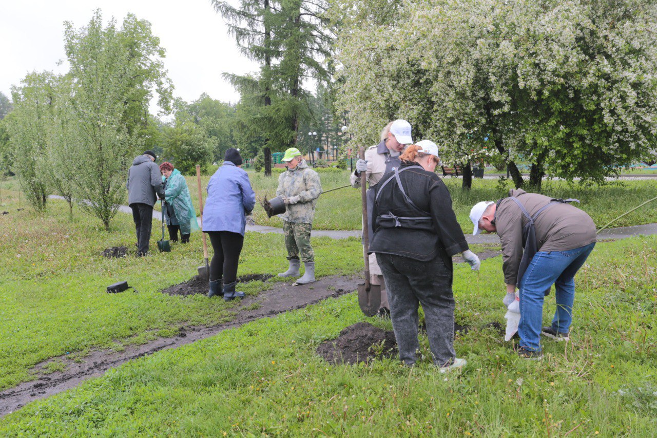 «Сад памяти»: в Кемерове высадили 90 пирамидальных тополей на набережной Кировского района