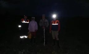Два грибника заблудились в лесу в Кузбассе: понадобилась помощь спасателей