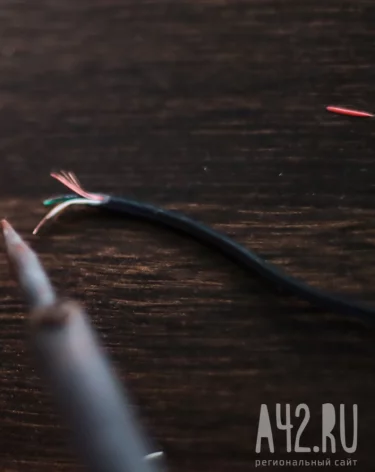 Фото: А42.RU