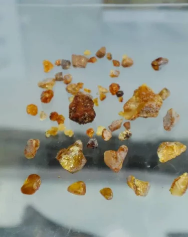 В Кузбассе обнаружили самый древний в России янтарь, ему больше 100 млн лет