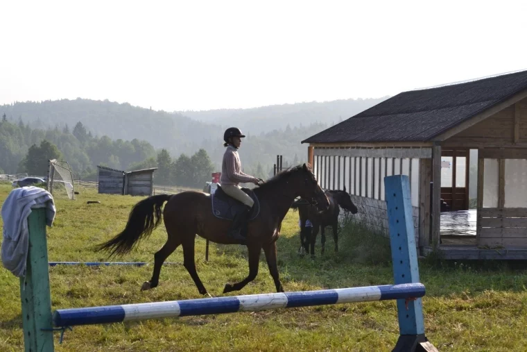 Фото: Каникулы верхом на лошади: в Кемерове прошёл первый сезон конно-спортивного лагеря для школьников 6