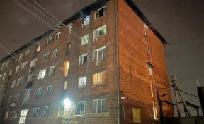 В Иркутске родители во время пожара ради спасения сбросили детей соседям из окна пятого этажа