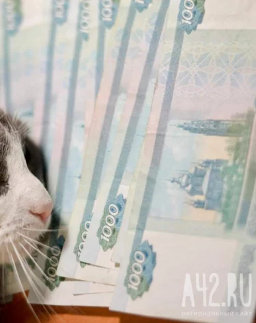 Губернатор: Госфонд помог привлечь на развитие бизнеса в Кузбассе 1,8 млрд рублей