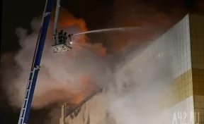 МЧС: посетителей с горящего здания «Зимней вишни» снимали даже с крыши