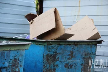 Фото: Соцсети: кемеровчане заметили в контейнере с мусором детей 1