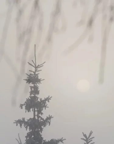 Метель, сильный снег и шквалистый ветер ожидаются в Кузбассе 10 января