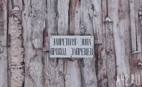 В Кузбассе снова выявили случай бешенства: участок закрыли на карантин на 60 дней