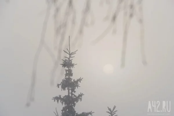 Метель, сильный снег и шквалистый ветер ожидаются в Кузбассе 10 января