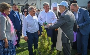 Президент Татарстана поблагодарил Сергея Цивилёва за кедры из Кузбасса