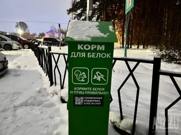 Фото: Власти: в Кемерове установлены аппараты с кормом для уток и для белок 3