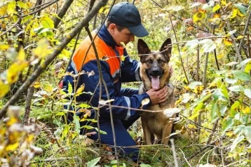 Фото: В Кузбассе нашли 2 339 без вести пропавших, поиски 32 продолжаются 1