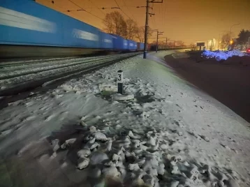 Фото: Мужчина погиб под колёсами поезда в Кузбассе 1