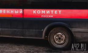 В Тюмени 7-летняя девочка провела несколько дней в квартире с умершей матерью