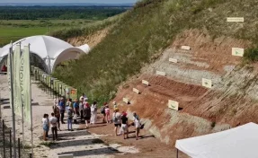 В Кузбассе экспонатом Недели археологии и палеонтологии станет яйцо архозавра