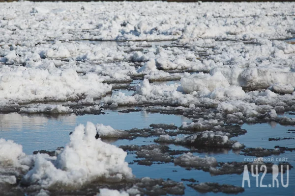 В Звенигороде на реке создадут искусственную волну для поиска пропавшего ребёнка