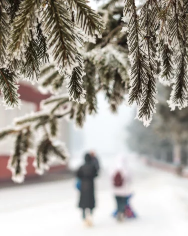 Кемеровские синоптики дали прогноз на последний понедельник 2025 года
