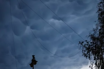 Фото: Синоптики рассказали о силе штормового ветра в Кемерове 1