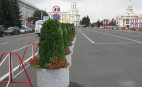 Центр Кемерова украсят вечнозелёные туи
