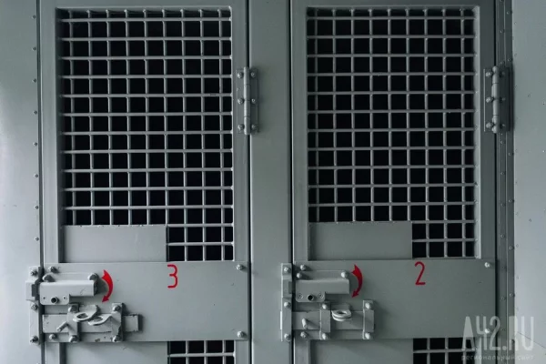 Обвиняемый в похищении 9-летней девочки в Смоленске найден мёртвым в СИЗО