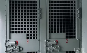 Обвиняемый в похищении 9-летней девочки в Смоленске найден мёртвым в СИЗО