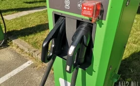 В автомобиле Tesla заживо сгорели мужчина и двое детей