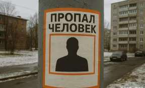 В Новосибирской области пятый день ищут пропавшего мальчика