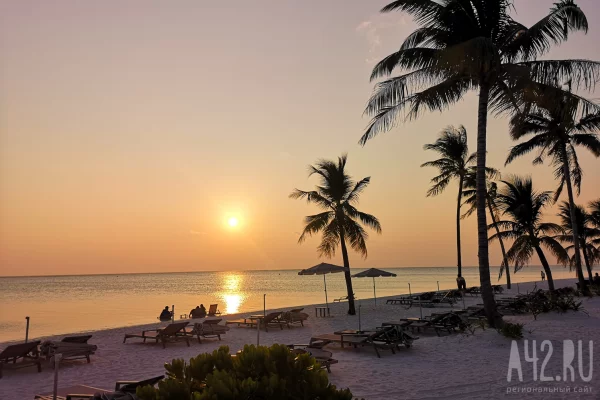 В Омане с конкурса красоты сняли 20 накачанных ботоксом верблюдов 