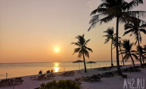 В Омане с конкурса красоты сняли 20 накачанных ботоксом верблюдов 