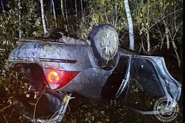 В Томской области три человека попали в больницу после ДТП с медведем