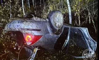 В Томской области три человека попали в больницу после ДТП с медведем